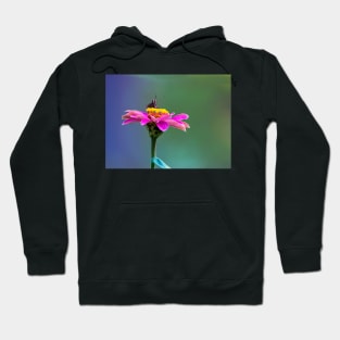 Slurp Hoodie